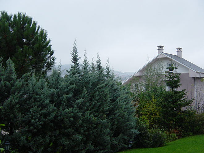 TILDIRIM VILLA BAHCE 2